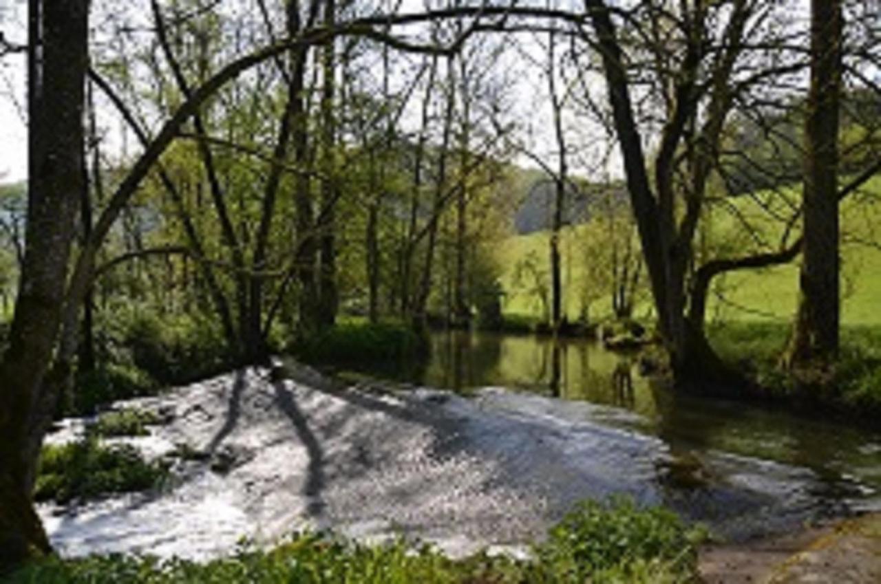 Gasthaus Holdermuehle Creglingen Εξωτερικό φωτογραφία